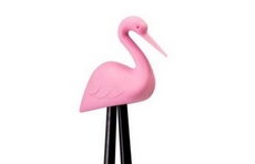 <!--{$arrProduct.name|h}-->