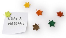 <!--{$arrProduct.name|h}-->