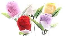 <!--{$arrProduct.name|h}-->