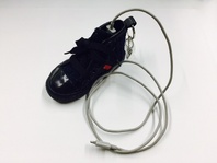 <!--{$arrProduct.name|h}-->